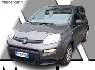 FIAT Panda Panda 1.0 firefly hybrid - targa GP875BA -