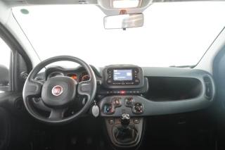 FIAT Panda usata 10