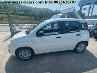 FIAT Panda usata, con Airbag Passeggero