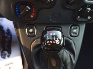 FIAT Panda usata, con Controllo trazione