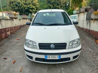 FIAT Punto usata, con Volante in pelle