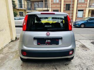 FIAT Panda usata, con Climatizzatore
