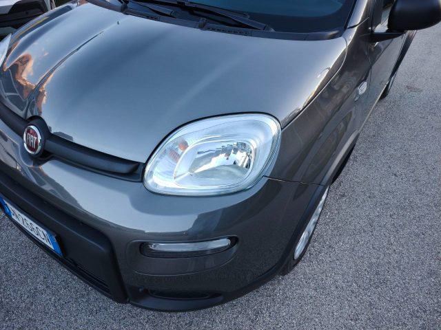 FIAT Panda usata, con Controllo trazione