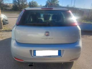 FIAT Punto usata 7