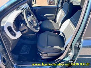 FIAT Panda usata, con Antifurto