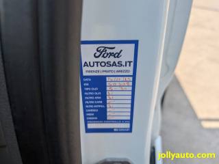 FORD Transit usata 23