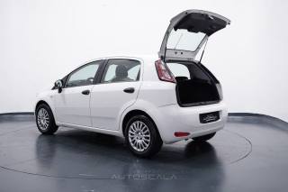 FIAT Punto usata 25