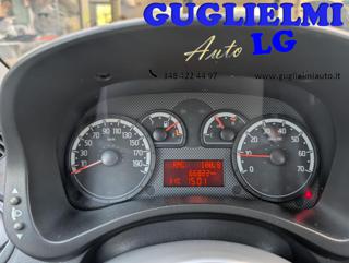 FIAT Panda usata 14