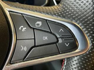 RENAULT Arkana usata 21