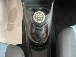 FIAT Punto usata 18