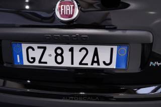 FIAT New Panda usata 25