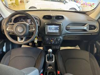 JEEP Renegade usata, con Climatizzatore