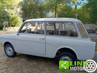 AUTOBIANCHI Bianchina usata 27