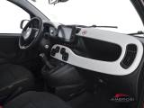 FIAT Panda usata 4