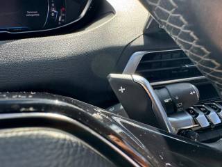 PEUGEOT 3008 usata, con Cruise Control