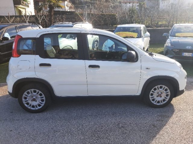 FIAT Panda usata, con Chiusura centralizzata