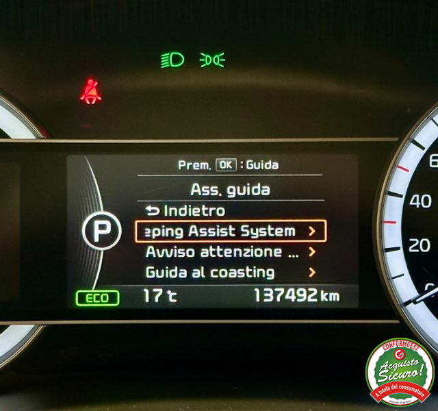 KIA Niro usata, con Luci diurne LED