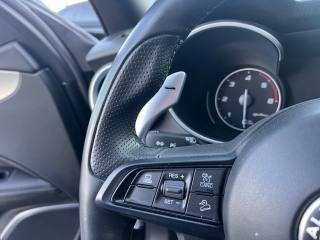 ALFA ROMEO Stelvio usata, con Cronologia tagliandi