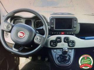 FIAT Panda usata, con Controllo trazione
