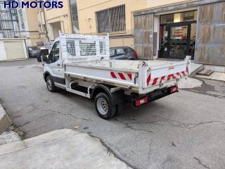 IVECO Daily usata, con Fendinebbia