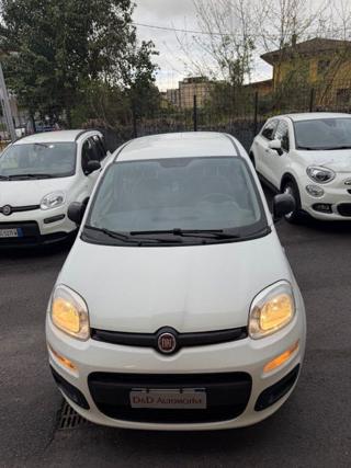 FIAT Panda usata, con Airbag