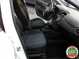 FIAT Punto usata 12
