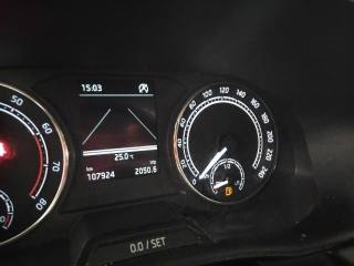 SKODA Fabia usata 28