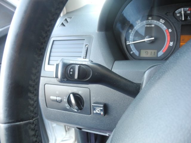 SKODA Fabia usata 25