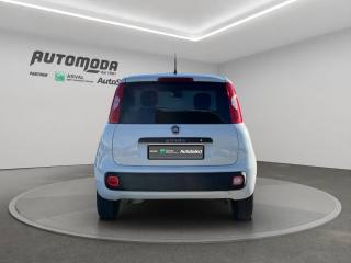 FIAT Panda usata, con Controllo trazione