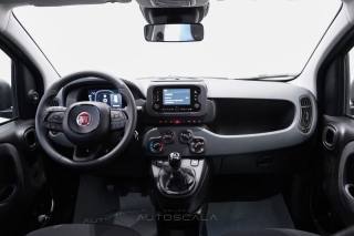 FIAT New Panda usata, con Airbag testa