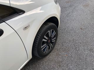 FIAT Punto Evo usata 12