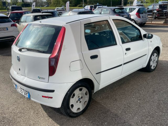 FIAT Punto usata 10