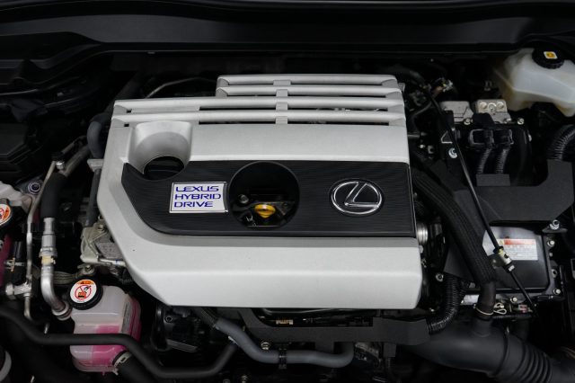 LEXUS UX 250h usata 44