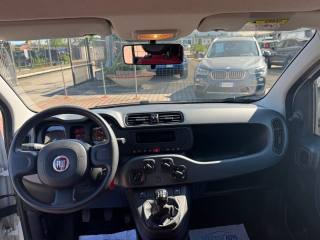 FIAT New Panda usata, con Fendinebbia