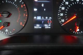 RENAULT Clio usata 39