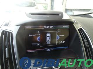 FORD C-Max usata, con Fendinebbia