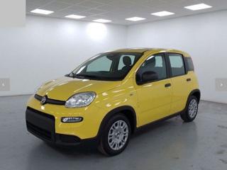 FIAT Panda usata, con Airbag Passeggero