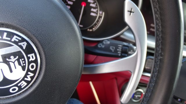 ALFA ROMEO Stelvio usata 94