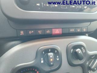FIAT Panda usata, con Fendinebbia