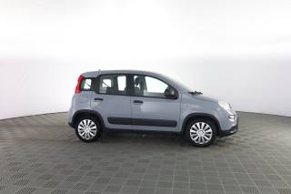FIAT Panda usata 2
