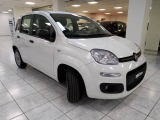 FIAT Panda usata, con Climatizzatore