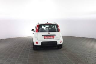 FIAT Panda usata 4