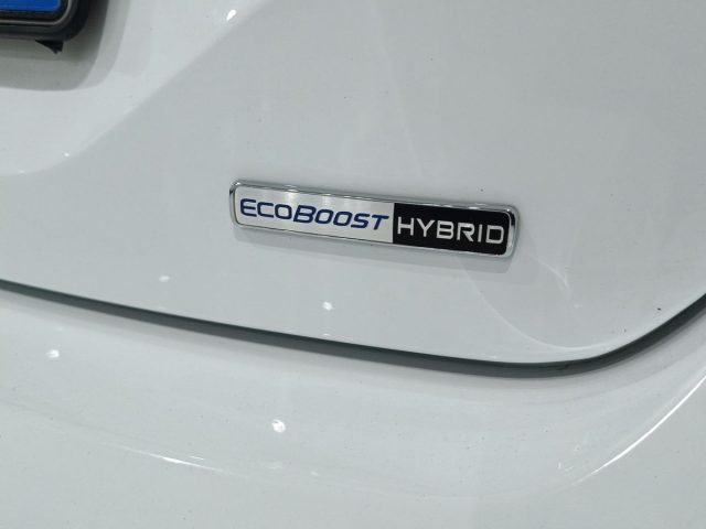 FORD Fiesta usata, con Riconoscimento dei segnali stradali