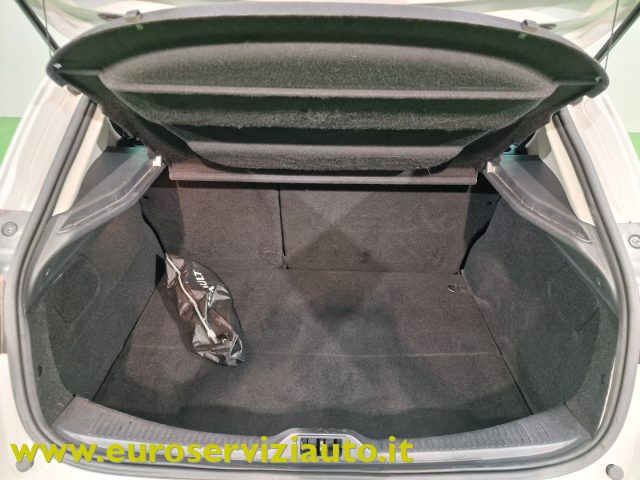 RENAULT Megane usata 44