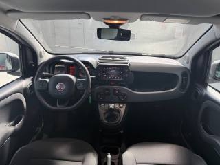 FIAT Panda Cross usata, con Servosterzo