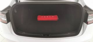 TESLA Model 3 usata, con ESP