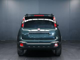FIAT Panda Cross usata, con Alzacristalli elettrici