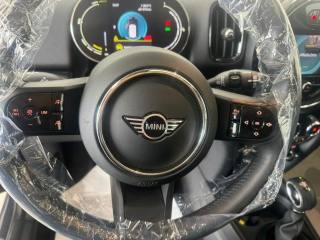 MINI Countryman usata, con Immobilizzatore elettronico