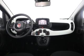 FIAT Panda usata 10