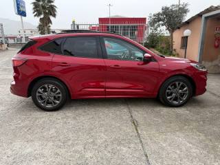 FORD Kuga usata, con Portapacchi